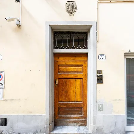 Faenza 73
